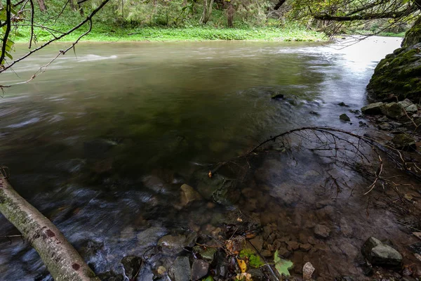 Horská Řeka Slovensku Zelené Letní Čas — Stock fotografie