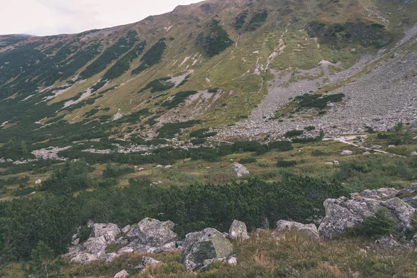 Sentieri Escursionistici Slovacchia Montagne Tatra Vicino Lago Montagna Rohache — Foto Stock