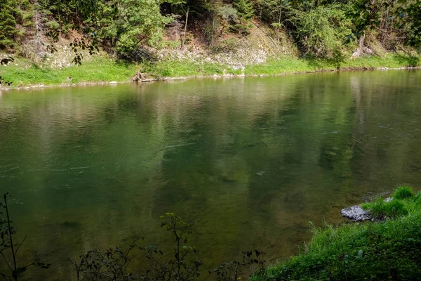 夏に木の後ろに緑色の水川 ドゥナイェツ スロバキア — ストック写真