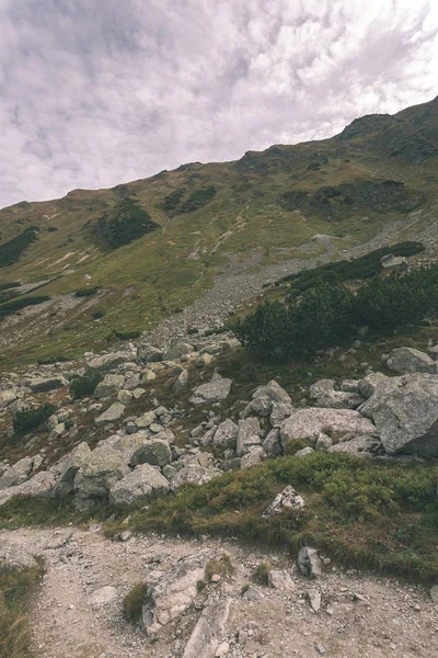 Szlaki Turystyczne Słowacja Tatry Góry Pobliżu Góry Jezioro Rohache — Zdjęcie stockowe