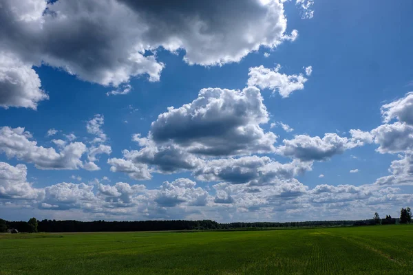 Malerisches Grünes Feld Unter Blauem Himmel Mit Flauschigen Wolken — Stockfoto