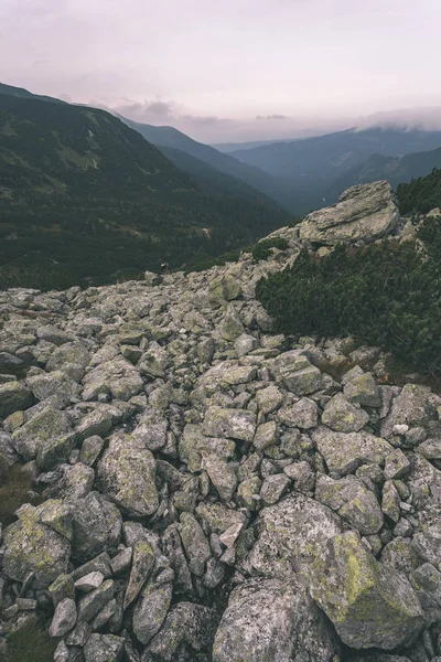 Διαδρομές Πεζοπορίας Στη Σλοβακία Tatra Βουνό Κοντά Στο Βουνό Στη — Φωτογραφία Αρχείου