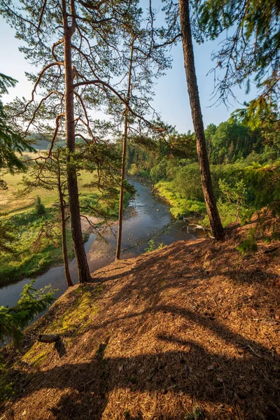 Córrego Água Rio Amata Letônia Com Falésias Arenito Folhagem Verde — Fotografia de Stock
