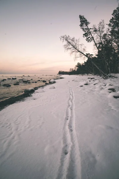 Plage Mer Gelée Avec Neige Soir — Photo