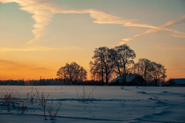 Eenvoudige Platteland Landschap Letland Met Velden Bomen Onder Sneeuw Oude — Stockfoto