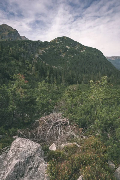 Nublado Brumoso Eslovaco Occidental Cárpatos Tatra Horizonte Montaña Cubierto Bosques — Foto de Stock