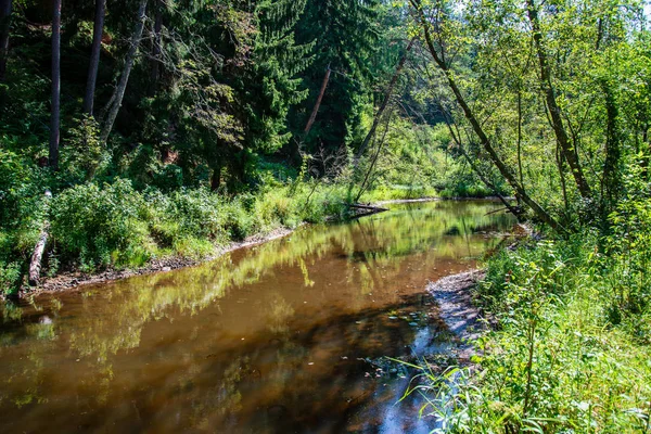 Día Verano Agua Río Tranquilo Encerrado Bosques Con Acantilados Piedra — Foto de Stock