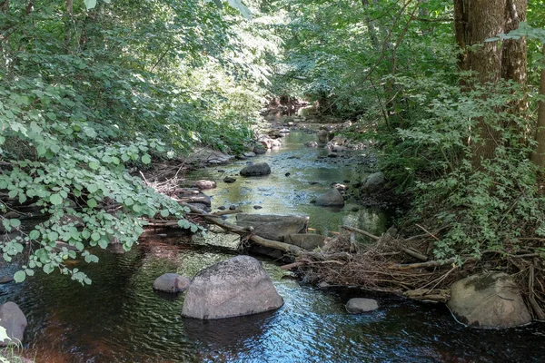 Ruhigen Sommertag Blick Auf Den See Mit Sauberem Wasser Und — Stockfoto