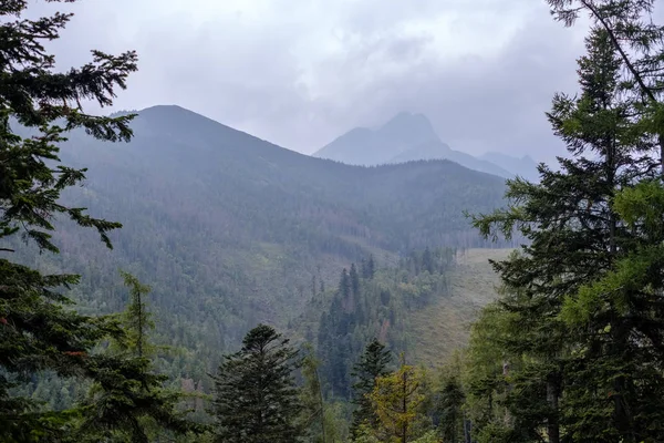 Noyaux Montagne Éloignés Dans Brume Slovaquie Tatra Sentiers Montagne Par — Photo