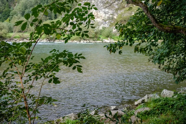 Rivière Eau Verte Derrière Les Arbres Été Dunajec Slovaquie — Photo