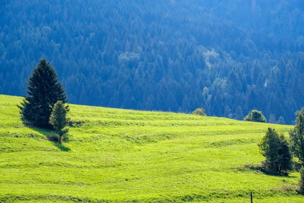 Campos Vários Níveis Florestas Área Montanha Eslováquia Névoa Sobre Árvores — Fotografia de Stock