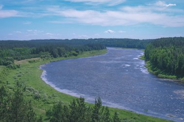 temiz su ve su çimen, bents ve yeşil yeşillik forest - vintage bir retro görünüm yakınındaki göl kenarında sakin yaz günü göster