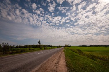 yapraklar ve ağaçlar etrafında ile perspektif içinde basit kırsal orman yolu