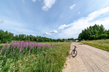 yaz günü ile farklı çiçeklerle güneşli çayır açık hava