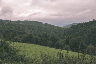 Sonbahar ile ormanları sisli gün Slovakya Tatra Dağları'nda. Islak gün - vintage retro bak.