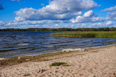panoramik deniz plaj manzarası içinde kaya, bitkiler ve temiz su ile yaz aylarında güneşli bir gün