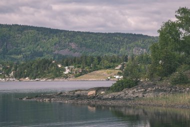 kayalık sahil şeridine Norveç'te kaç çam ağaçları ve mavi gökyüzü altında sakin su 