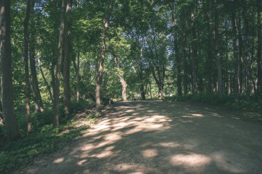 yapraklar ve ağaçlar çevresinde - vintage bir retro görünüm ile perspektif içinde basit kırsal orman yolu