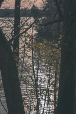 doğal vücut su. Gölet yansımaları, ağaç ve sakin su yüzeyi - vintage bir retro görünüm bulutlarda ile