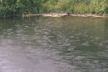 doğal vücut su. Gölet yansımaları, ağaç ve sakin su yüzeyi - vintage bir retro görünüm bulutlarda ile.