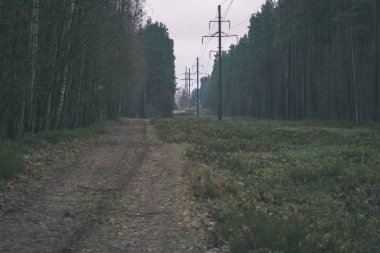 yapraklar ve ağaçlar çevresinde - vintage bir retro görünüm ile perspektif içinde basit kırsal orman yolu