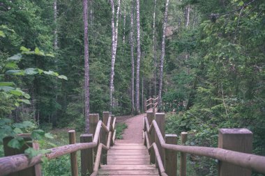 su yeşil yaz orman çevresinde göl ile ahşap ve kompozit malzeme ayak köprüden