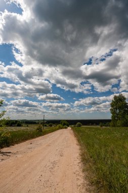 yapraklar ve ağaçlar etrafında ile perspektif içinde basit kırsal orman yolu