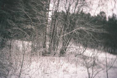 Kışın kar yüksek düzeyde ile geç akşam gün batımından önce - vintage bir retro görünüm, vahşi orman
