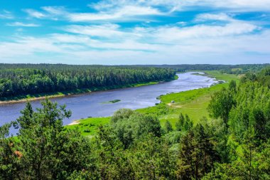 temiz su ve su çimen, bents ve yeşil yeşillik forest yakınındaki göl kenarında sakin yaz günü göster