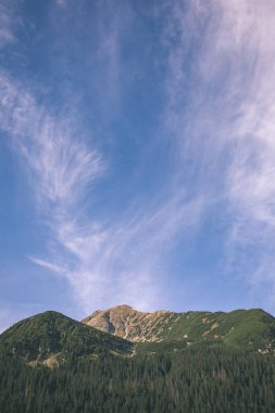 erken sonbahar renkleri - vintage bir retro görünüm içinde ağaçlar ve ormanlar ile kaplı bulutlu ve sisli Slovakça Western Karpat Tatra dağ manzarası