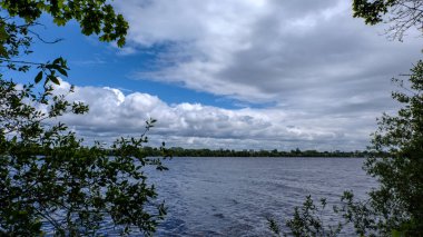 temiz su ve su çimen, bents ve yeşil yeşillik forest yakınındaki göl kenarında sakin yaz günü göster
