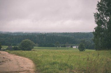 yapraklar ve ağaçlar çevresinde - vintage bir retro görünüm ile perspektif içinde basit kırsal orman yolu
