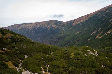 yürüyüş parkurları Slovakya Tatra Dağları yakınındaki dağ gölü Rohache