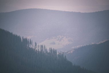 erken sonbahar renkleri - vintage bir retro görünüm içinde ağaçlar ve ormanlar ile kaplı bulutlu ve sisli Slovakça Western Karpat Tatra dağ manzarası