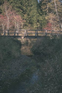 su yeşil yaz orman çevresinde göl - vintage bir retro görünüm ile ahşap ve kompozit malzeme ayak köprüden