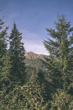 erken sonbahar renkleri - vintage bir retro görünüm içinde ağaçlar ve ormanlar ile kaplı bulutlu ve sisli Slovakça Western Karpat Tatra dağ manzarası