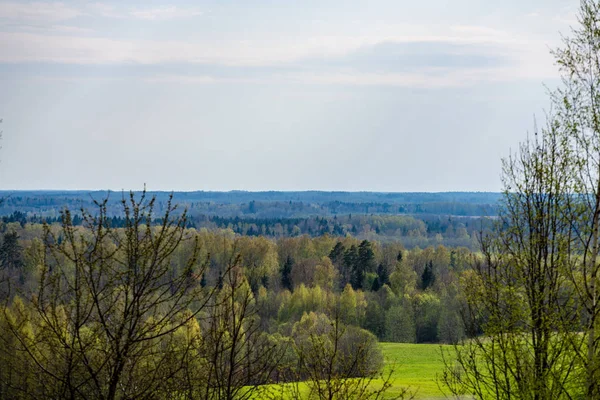 Obyčejný Jednoduchý Krajiny Jarní Krajina Svěží Zelené Louky Lesy Modrá — Stock fotografie