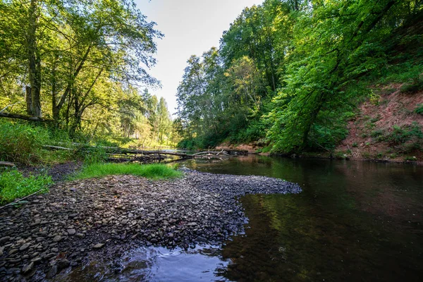 Día Verano Agua Río Tranquilo Encerrado Bosques Con Acantilados Piedra —  Fotos de Stock