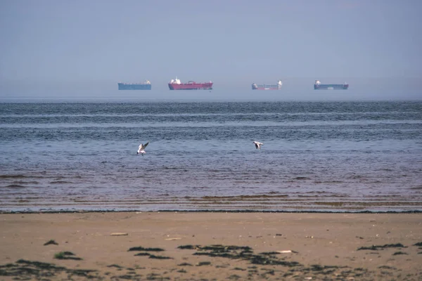 Leerer Meeresstrand Frühling Mit Einigen Vögeln Und Frachtschiffen Horizont Blauer — Stockfoto