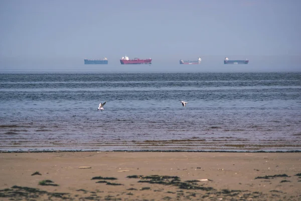 Praia Mar Vazia Primavera Com Algumas Aves Navios Carga Horizonte — Fotografia de Stock