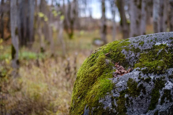 大きな花崗岩の岩を他から分離された自然環境で単一 — ストック写真