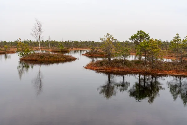 Natural Body Water Pond Reflections Trees Clouds Calm Water Surface — Stock Photo, Image