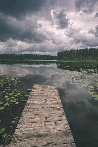 Passerelle Bois Matériau Composite Sur Eau Dans Cadre Verdoyant Forêt — Photo