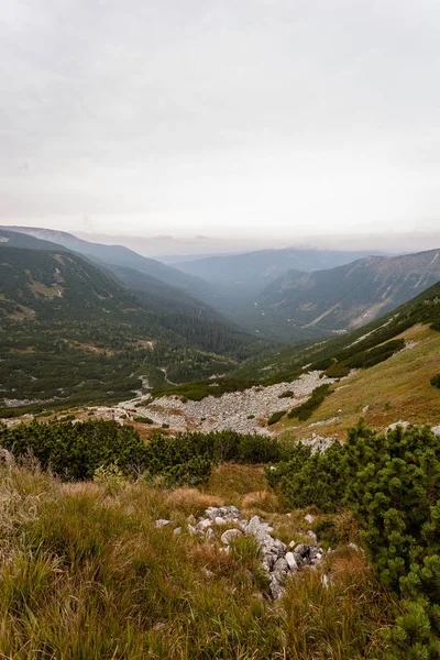 Пішохідних Маршрутів Словаччині Tatra Гір Біля Гірського Озера Rohache — стокове фото