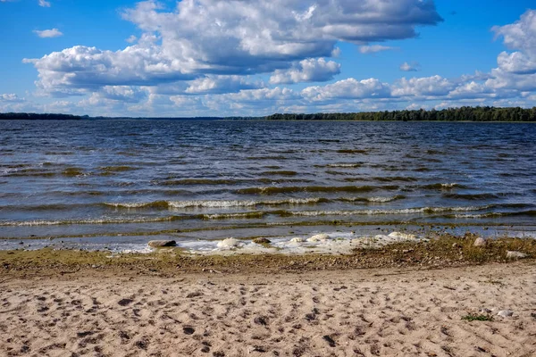 Panoramiczny Widok Morze Plaża Lecie Skały Rośliny Czystej Wody Słoneczny — Zdjęcie stockowe