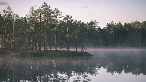 Естественный Водоем Пруд Отражениями Деревьев Облаков Спокойной Поверхности Воды Винтажный — стоковое фото
