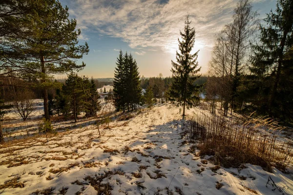 Alanları Ağaçların Kar Altında Basit Kırsal Manzara Letonya Eski Çim — Stok fotoğraf
