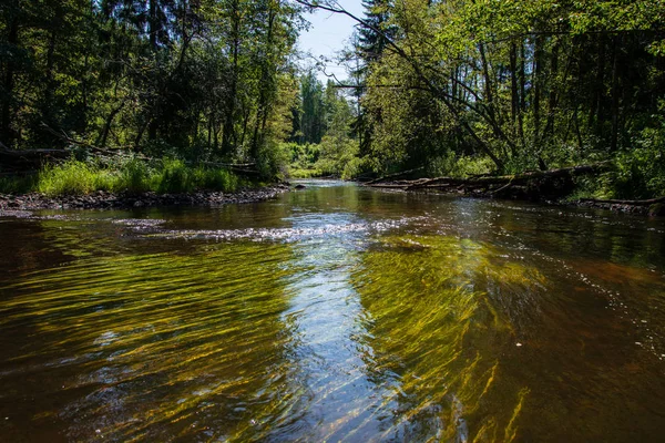 Giornata Estiva Sull Acqua Fiume Calmo Racchiuso Foreste Con Scogliere — Foto Stock