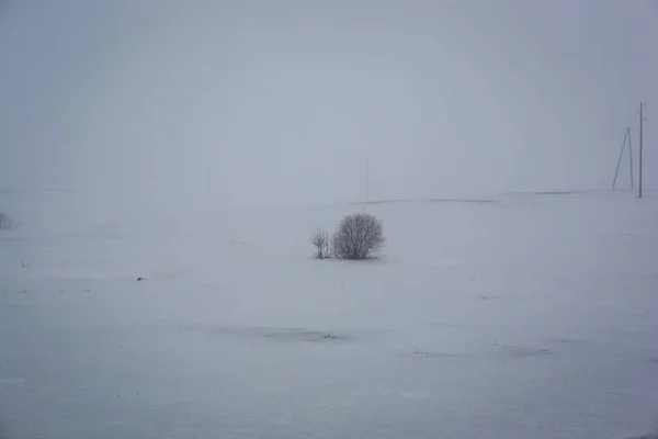 Paisaje Rural Sencillo Latvia Con Campos Árboles Bajo Nieve Hierba —  Fotos de Stock