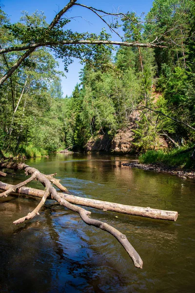 Día Verano Agua Río Tranquilo Encerrado Bosques Con Acantilados Piedra — Foto de Stock